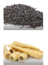 Baking Ingredients